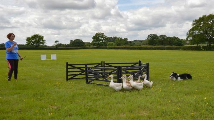 The Cotswold Manor Grange, Exclusive Hot-Tub, Games Barn, 70 acres of Parkland - Photo 22