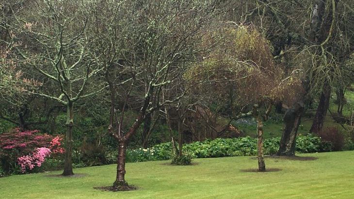 Glenacres - Photo 45