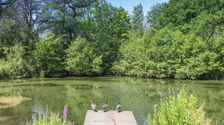 The Lawns Luxury Apartment in Devon/Beautiful South Hams - Photo 26