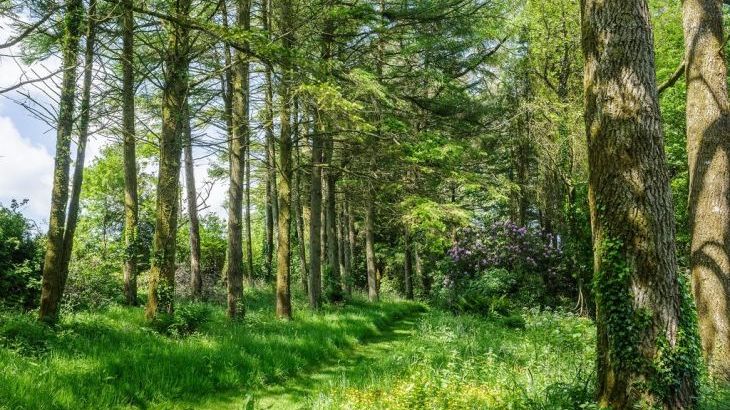 The Lawns Luxury Apartment in Devon/Beautiful South Hams - Photo 28