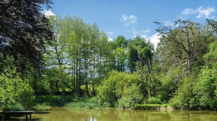 The Lawns Luxury Apartment in Devon/Beautiful South Hams - Photo 27