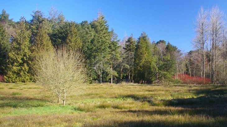 The Lawns Luxury Apartment in Devon/Beautiful South Hams - Photo 24