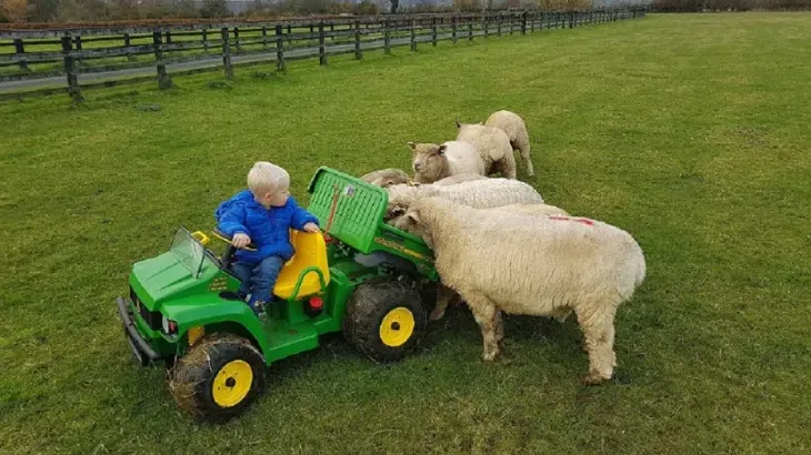 Granary Cottage - Photo 14