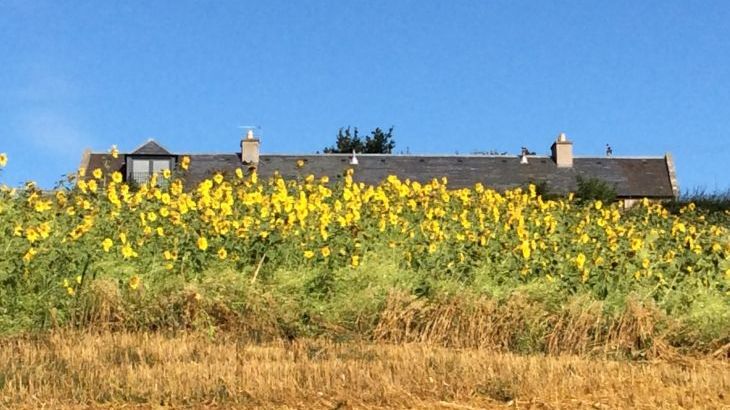 Garden Bank - Photo 6