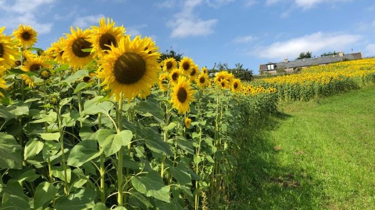 Garden Bank - Photo 7