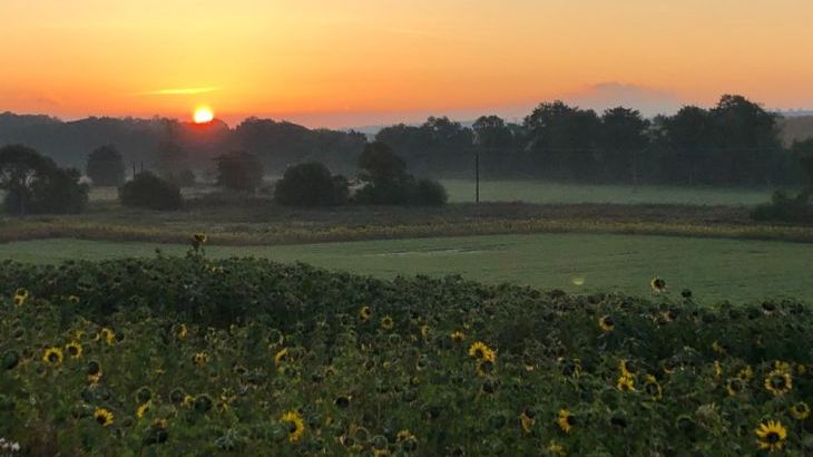 Garden Bank - Photo 8