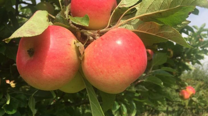 Garden Bank - Photo 9