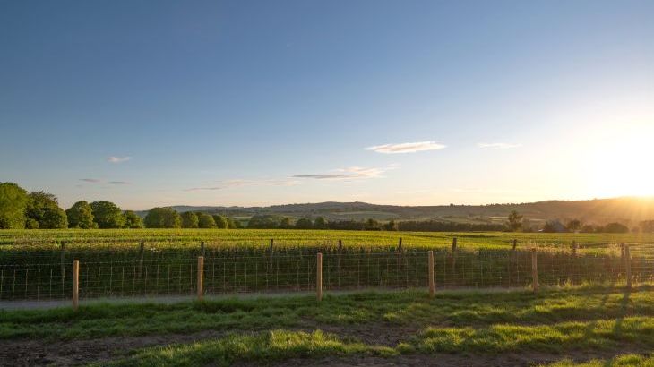 Trevase Granary - Photo 11