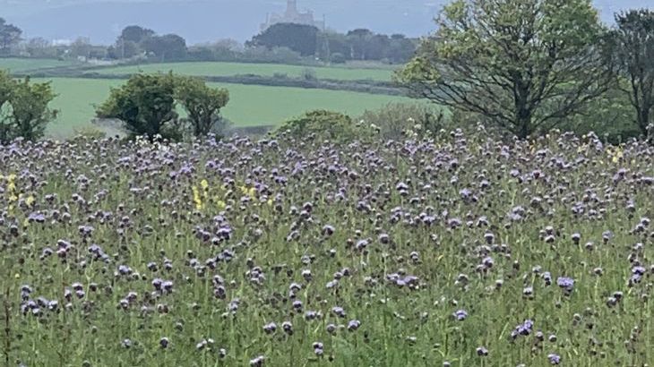  2 Barlowenath Cottages - Photo 2