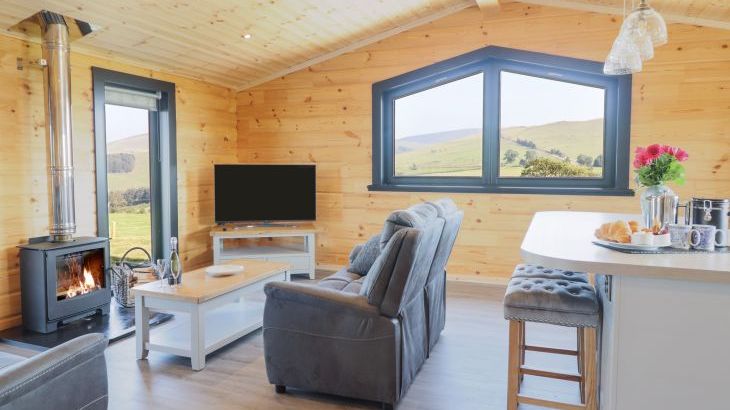 Bacheiddon Log Cabin - Photo 1