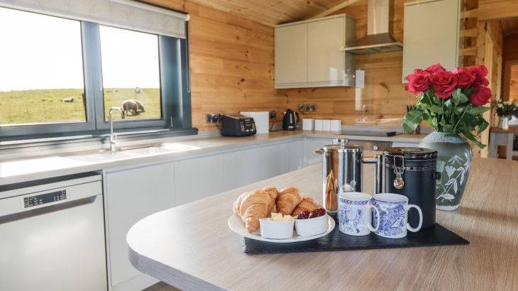 Bacheiddon Log Cabin - Photo 6