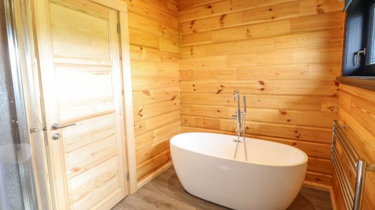 Bacheiddon Log Cabin - Photo 12