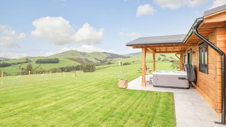 Bacheiddon Log Cabin - Photo 15