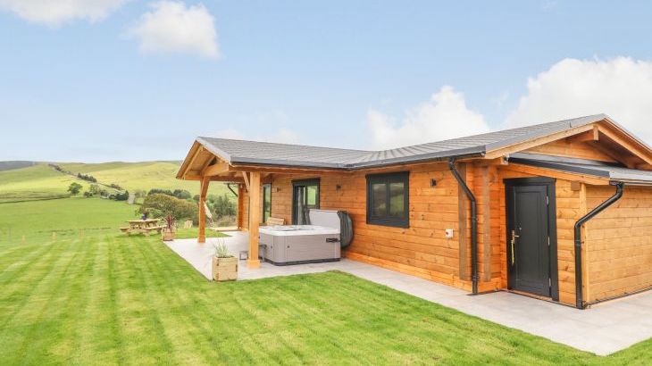 Bacheiddon Log Cabin - Photo 16