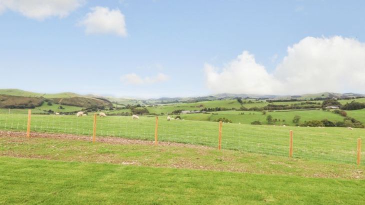Bacheiddon Log Cabin - Photo 24