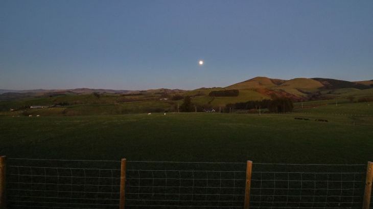 Bacheiddon Log Cabin - Photo 23