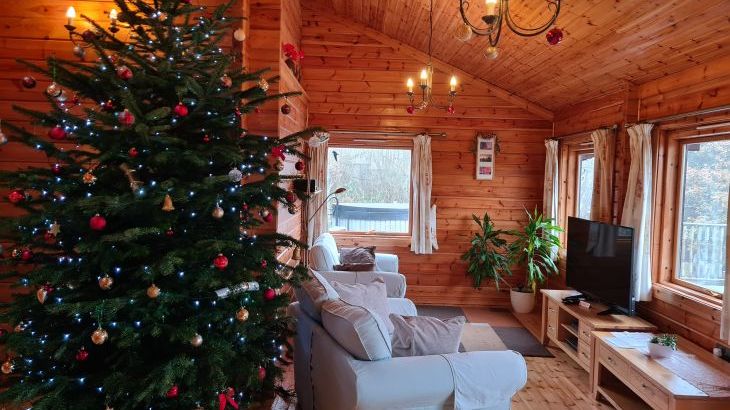 Cefn-nant Lodge - Photo 18