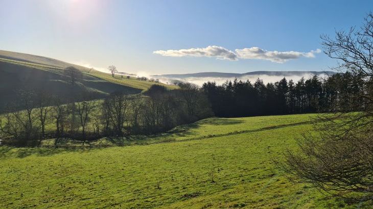 Cefn-nant Lodge - Photo 23