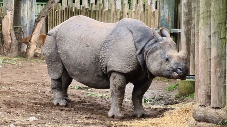 Buttercups Haybarn 5 Star Cottage with Indoor Pool, Sports Court & Toddler Play Area - Photo 19