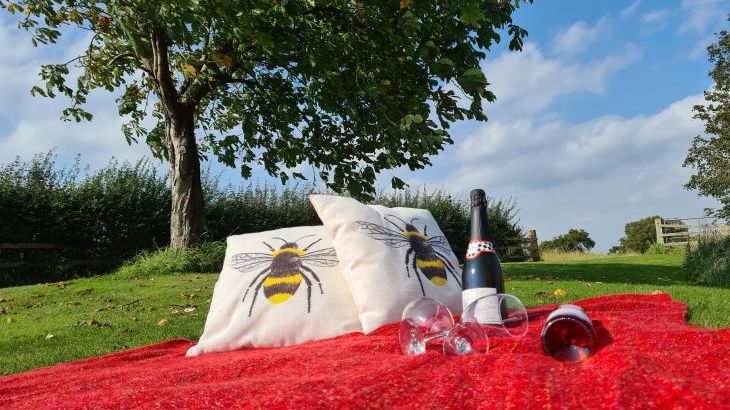 James's Parlour with exclusive use of shared Indoor Swimming Pool, Sports Court & Play Area - Photo 35