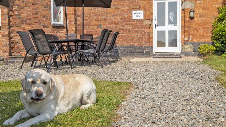 Oliver's Mill with shared Indoor Pool, Sports Court & Play Area - Photo 20