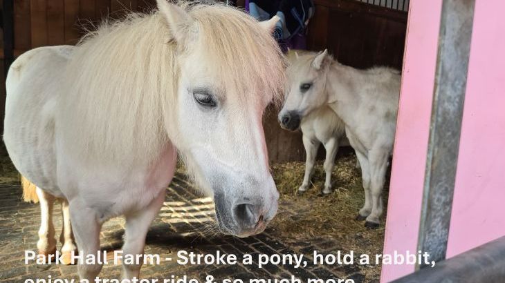 Buttercups & Hayloft Sleeps & Dines 16 with Pool, Sports Court & Play Area - Photo 30