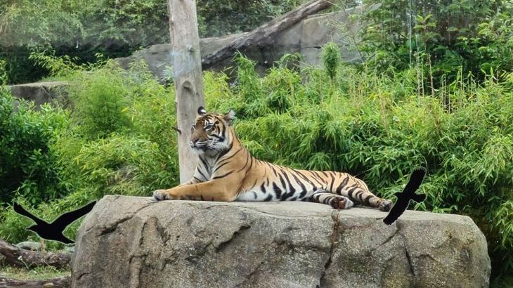 Oliver's Mill with shared Indoor Pool, Sports Court & Play Area - Photo 19