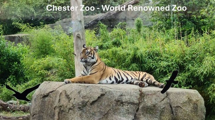 Emma's Dairy - With Indoor Pool, Sports Area & Under 5yrs play area included - Photo 10