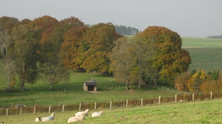 Waterlake Cottage, Orcheston, nr Stonehenge - Photo 7