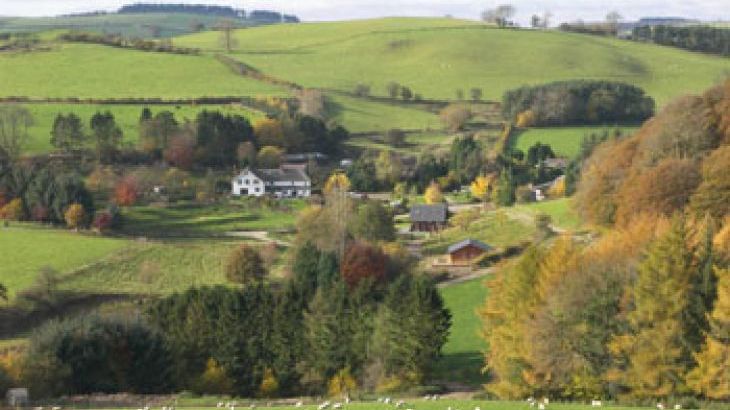 Cefn-nant Lodge - Photo 18