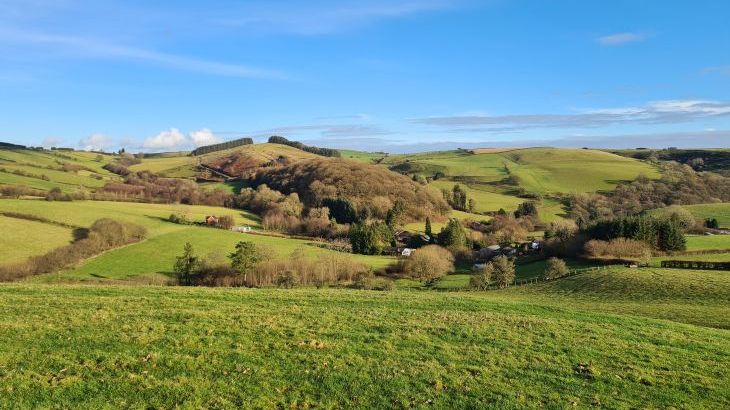 Cefn-nant Lodge - Photo 27