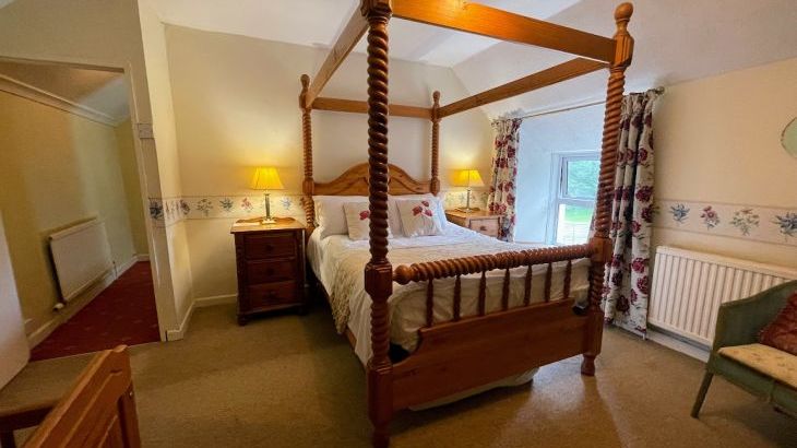 Hafod Grove Mansion House & Hafod Fach - Photo 44