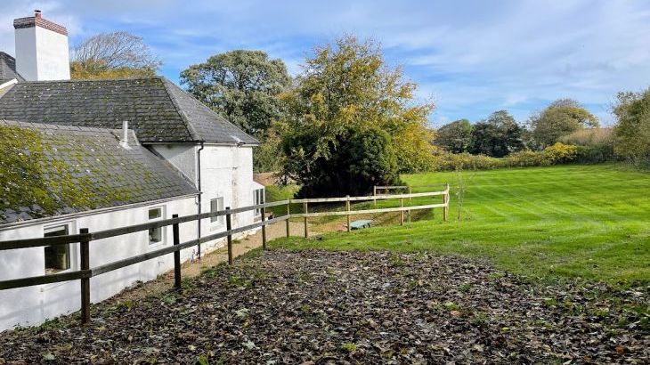 Hafod Grove Mansion House & Hafod Fach - Photo 51