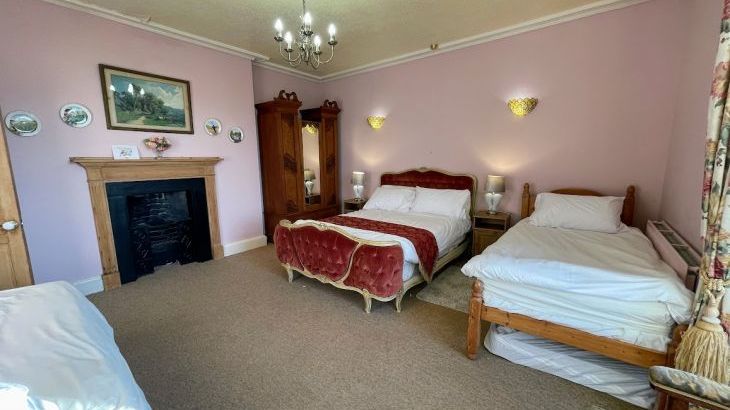 Hafod Grove Mansion House - Photo 24