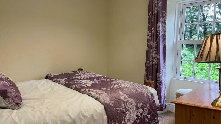 Hafod Grove Mansion House - Photo 40