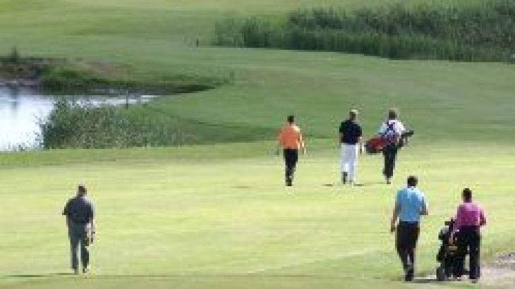 Ravensprings - Photo 24