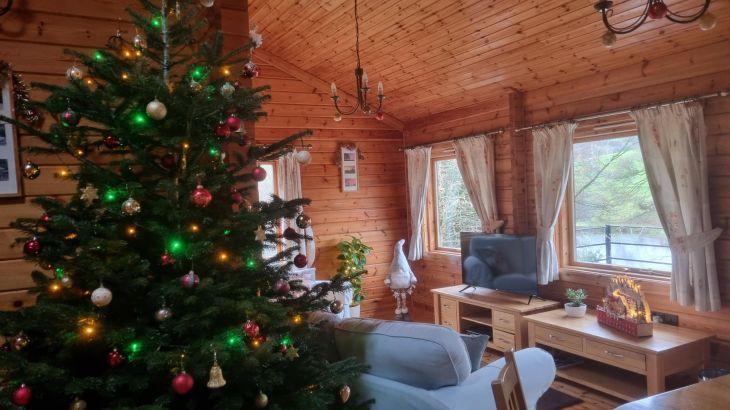 Cefn-nant Lodge - Photo 16