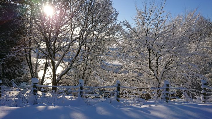 Cefn-nant Lodge - Photo 18
