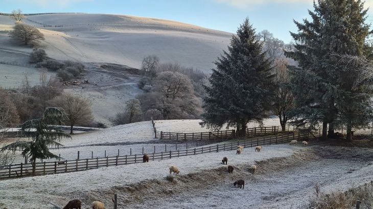 Cefn-nant Lodge - Photo 25