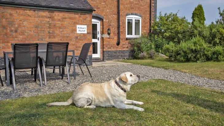 Buttercups & Hayloft Sleeps & Dines 16 with Pool, Sports Court & Play Area - Photo 29
