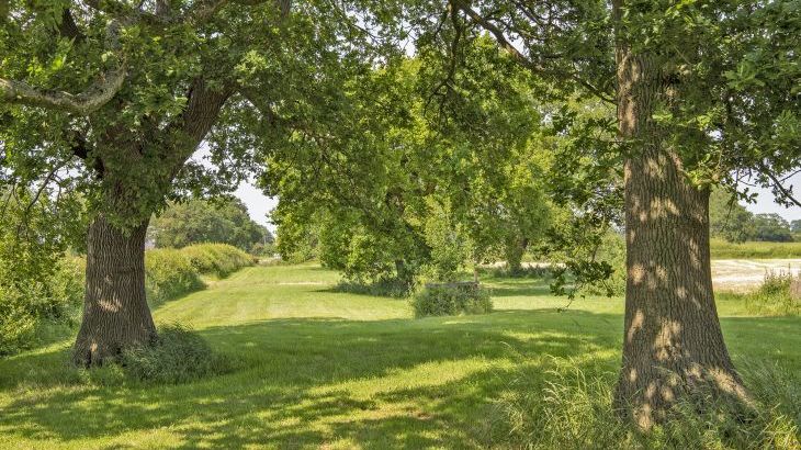 Buttercups & Hayloft Sleeps & Dines 16 with Pool, Sports Court & Play Area - Photo 43
