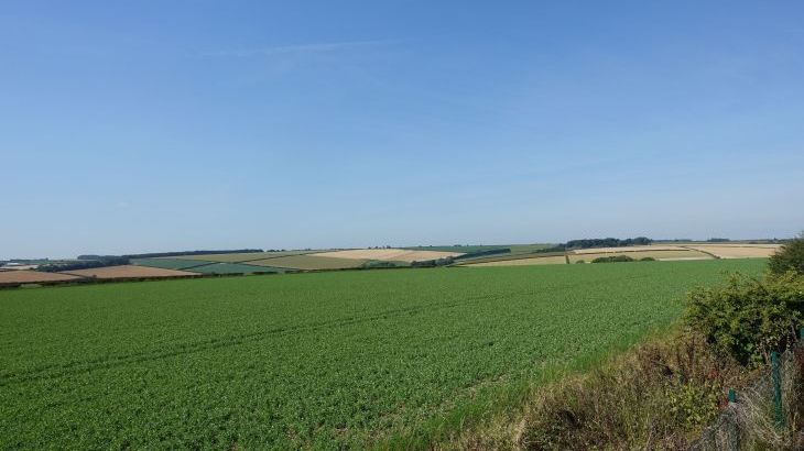 The Cornmill  - Photo 12