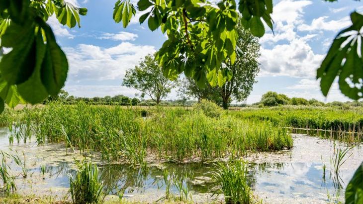 Tincleton Lodge - Photo 47