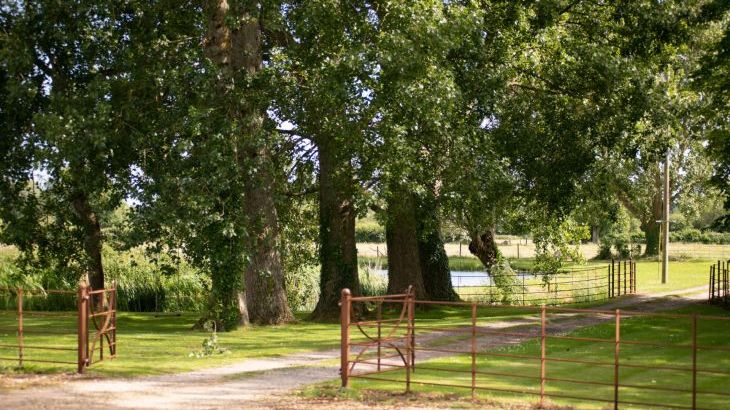 Tincleton Lodge - Photo 51