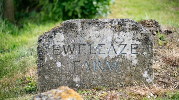 Tincleton Lodge - Photo 62