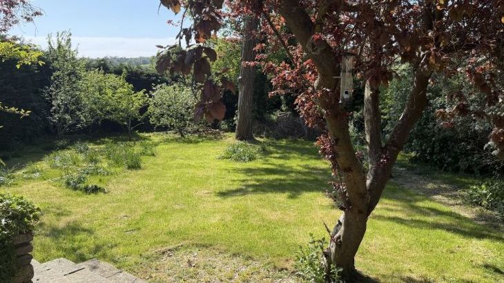 Bucknowle Lodge - Photo 38