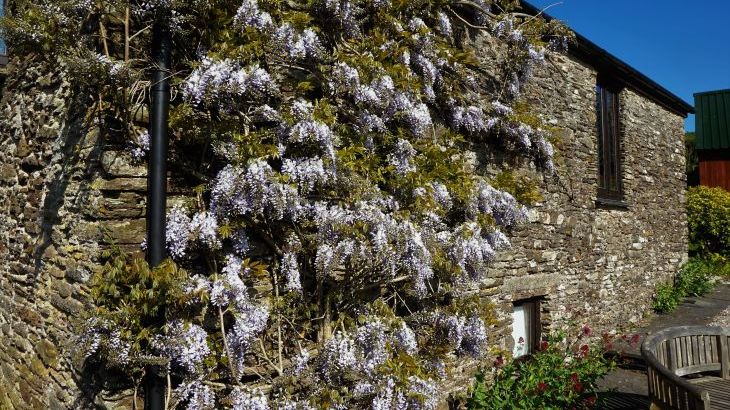 The Owlery, romantic couples' cottage - Photo 2