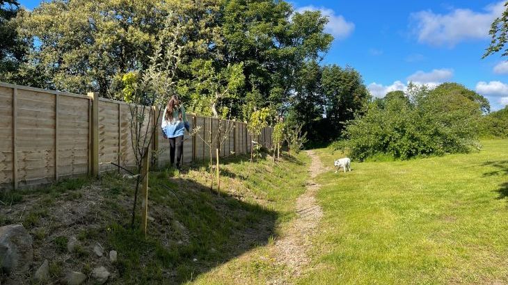 Hafod Fach - Photo 44