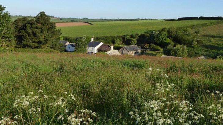 The Dovecote, two bedrooms sleeping 3 with pretty garden, dog friendly - Photo 12