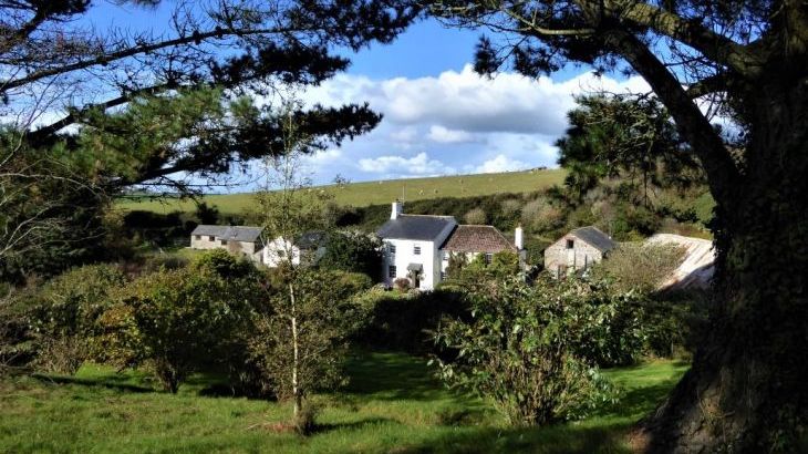 The Dovecote, two bedrooms sleeping 3 with pretty garden, dog friendly - Photo 9